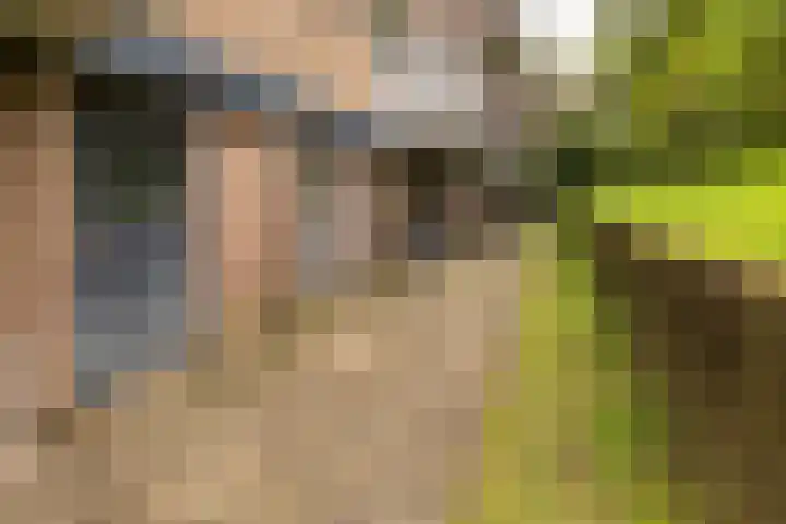 van Heutszlaan 4 Ede thumbnail 32