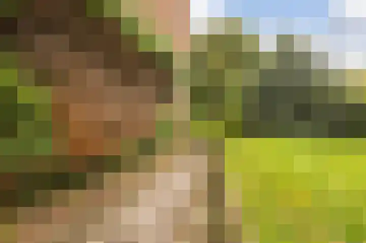 van Heutszlaan 4 Ede thumbnail 33