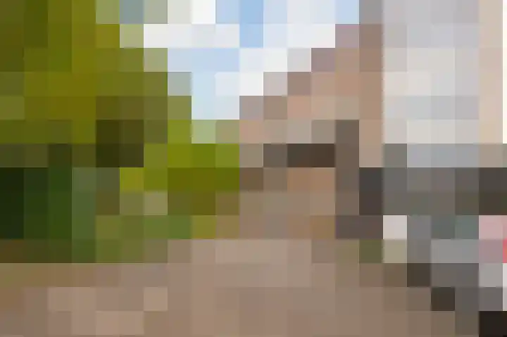 van Heutszlaan 4 Ede thumbnail 34