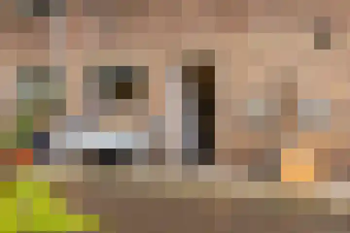 van Heutszlaan 4 Ede thumbnail 35