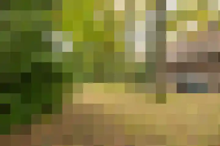 van Heutszlaan 4 Ede thumbnail 37