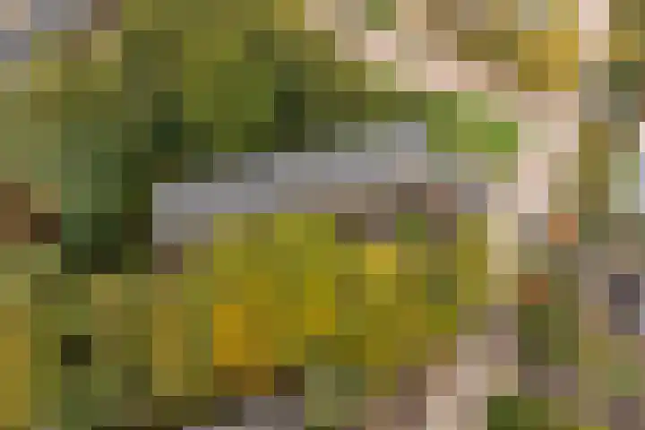 van Heutszlaan 4 Ede thumbnail 38