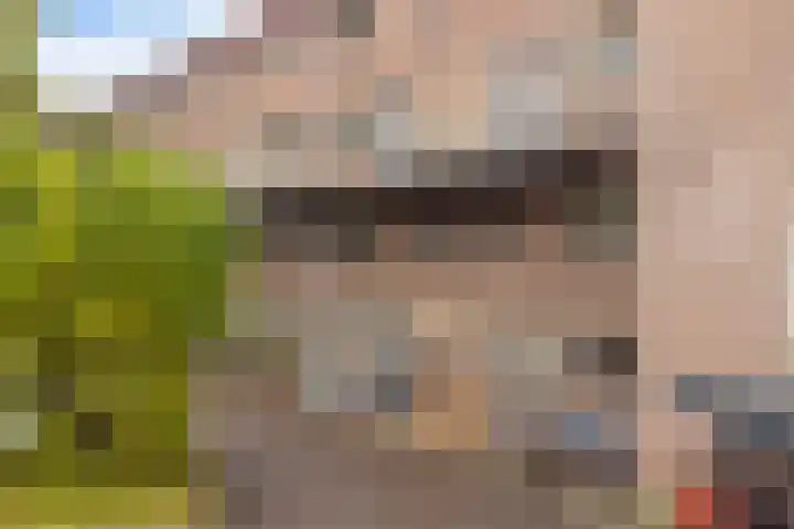 van Heutszlaan 4 Ede thumbnail 39
