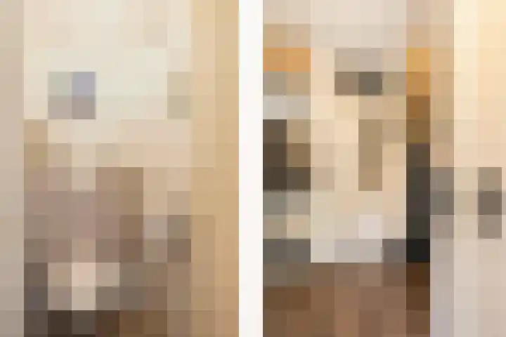 van Heutszlaan 4 Ede thumbnail 6