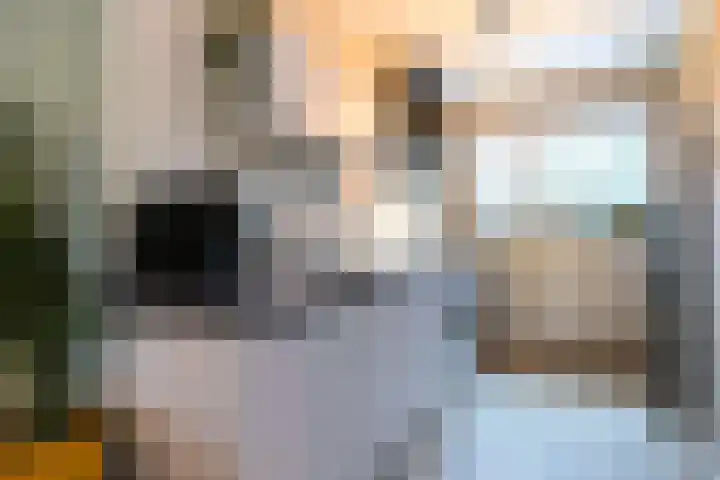 van Heutszlaan 54 1 Ede thumbnail 6
