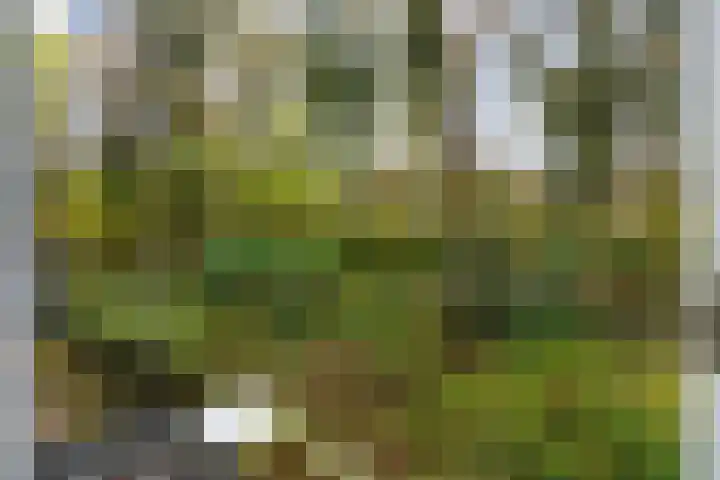 van Heutszlaan 58 Ede thumbnail 21