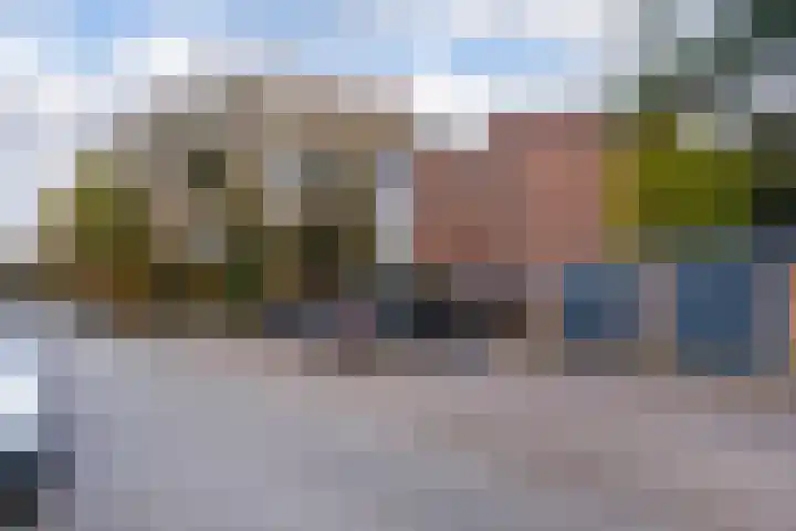 van Heutszlaan 58 Ede thumbnail 30