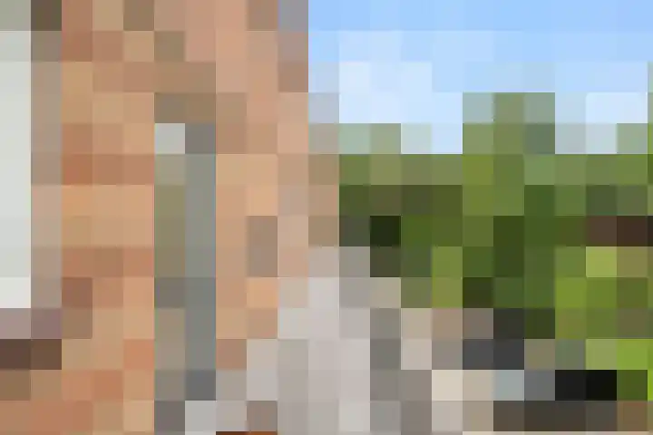 van Heutszlaan 64 1 Ede thumbnail 6