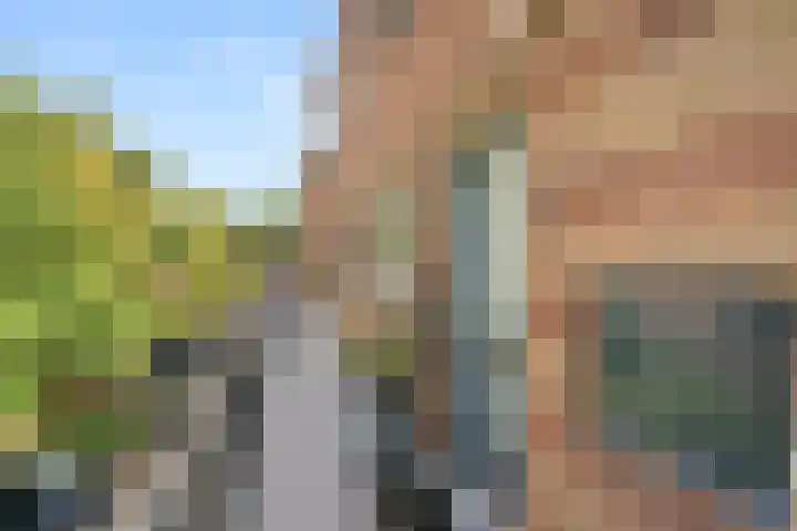 van Heutszlaan 64 1 Ede thumbnail 7