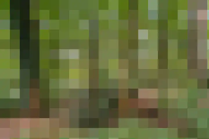 van Heutszlaan 64 1 Ede thumbnail 8