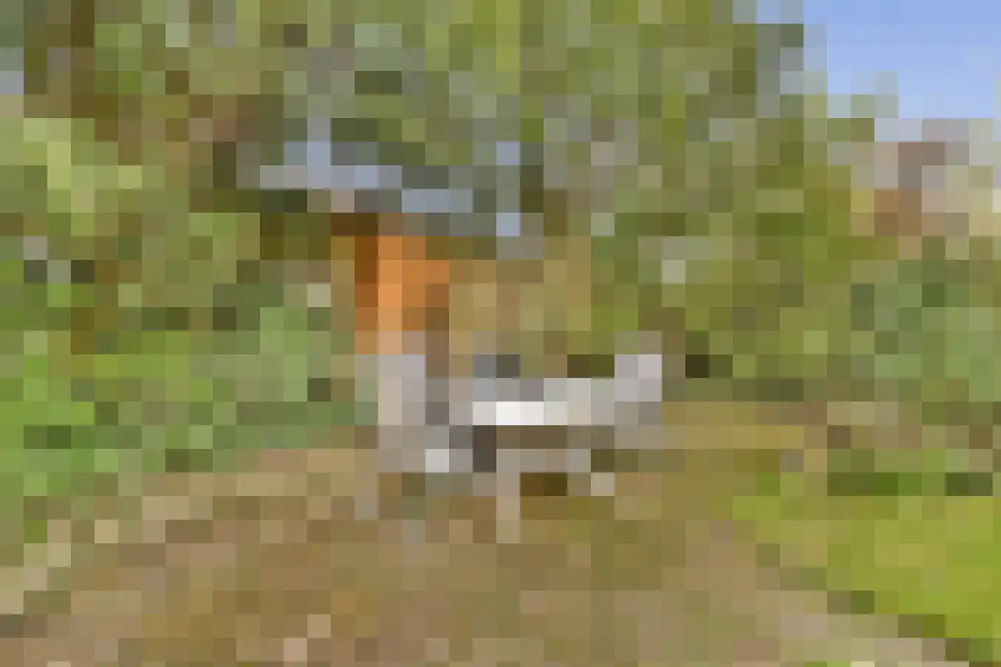 van Heutszpark 16 Vlaardingen thumbnail 14