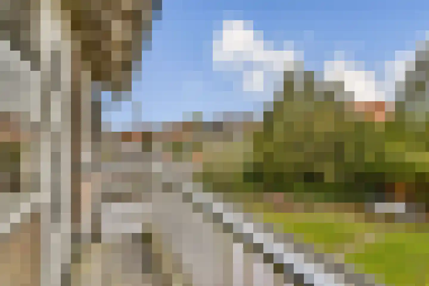 van Heutszpark 16 Vlaardingen thumbnail 18
