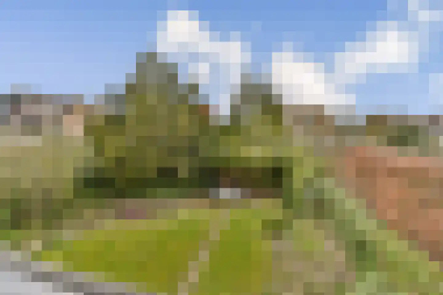 van Heutszpark 16 Vlaardingen thumbnail 19
