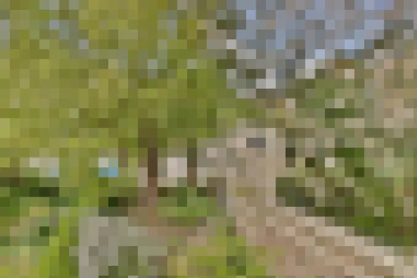van Heutszpark 16 Vlaardingen thumbnail 27