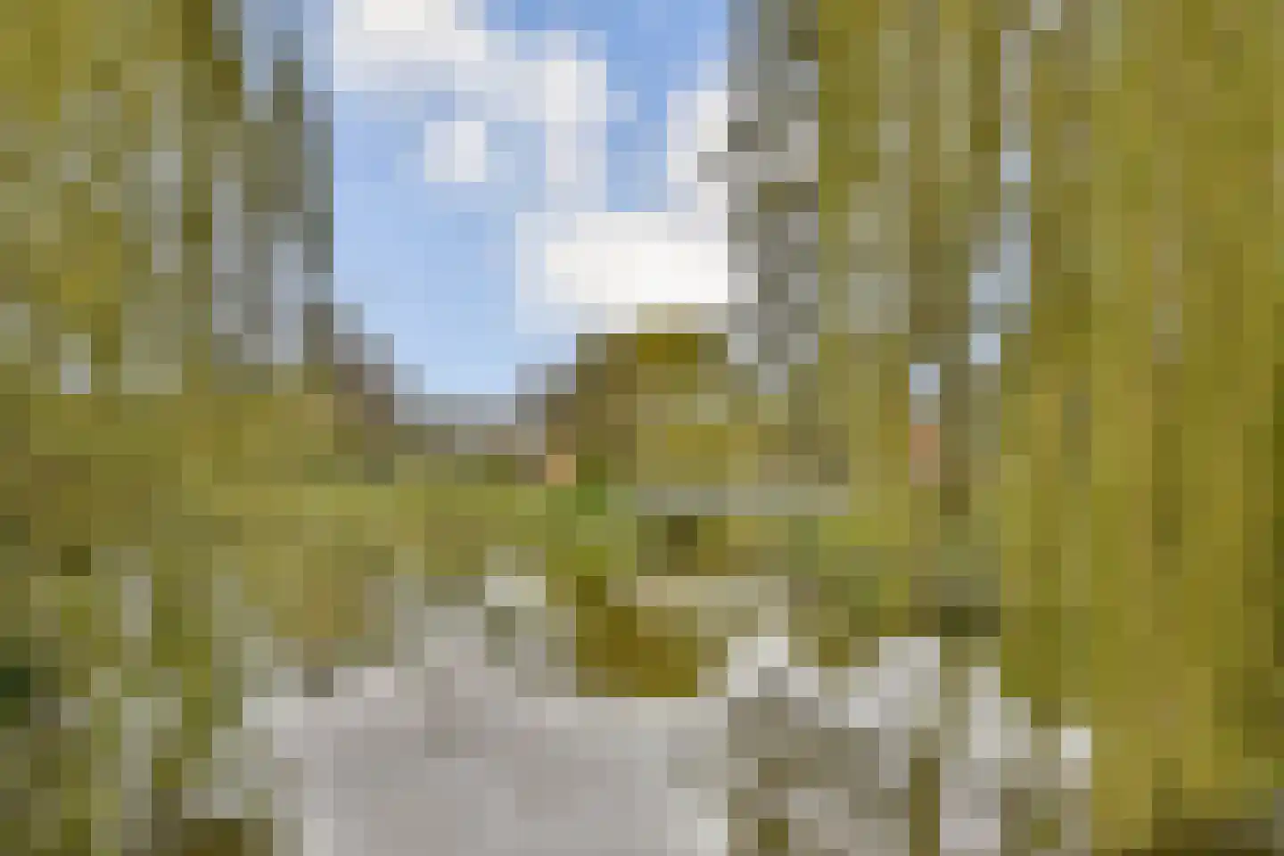 van Heutszpark 16 Vlaardingen thumbnail 32