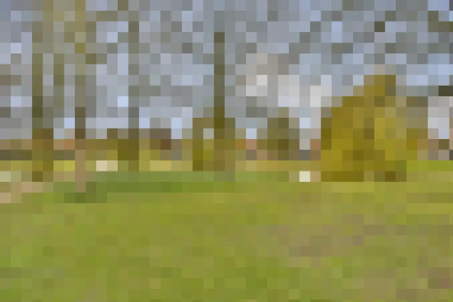 van Heutszpark 16 Vlaardingen thumbnail 33