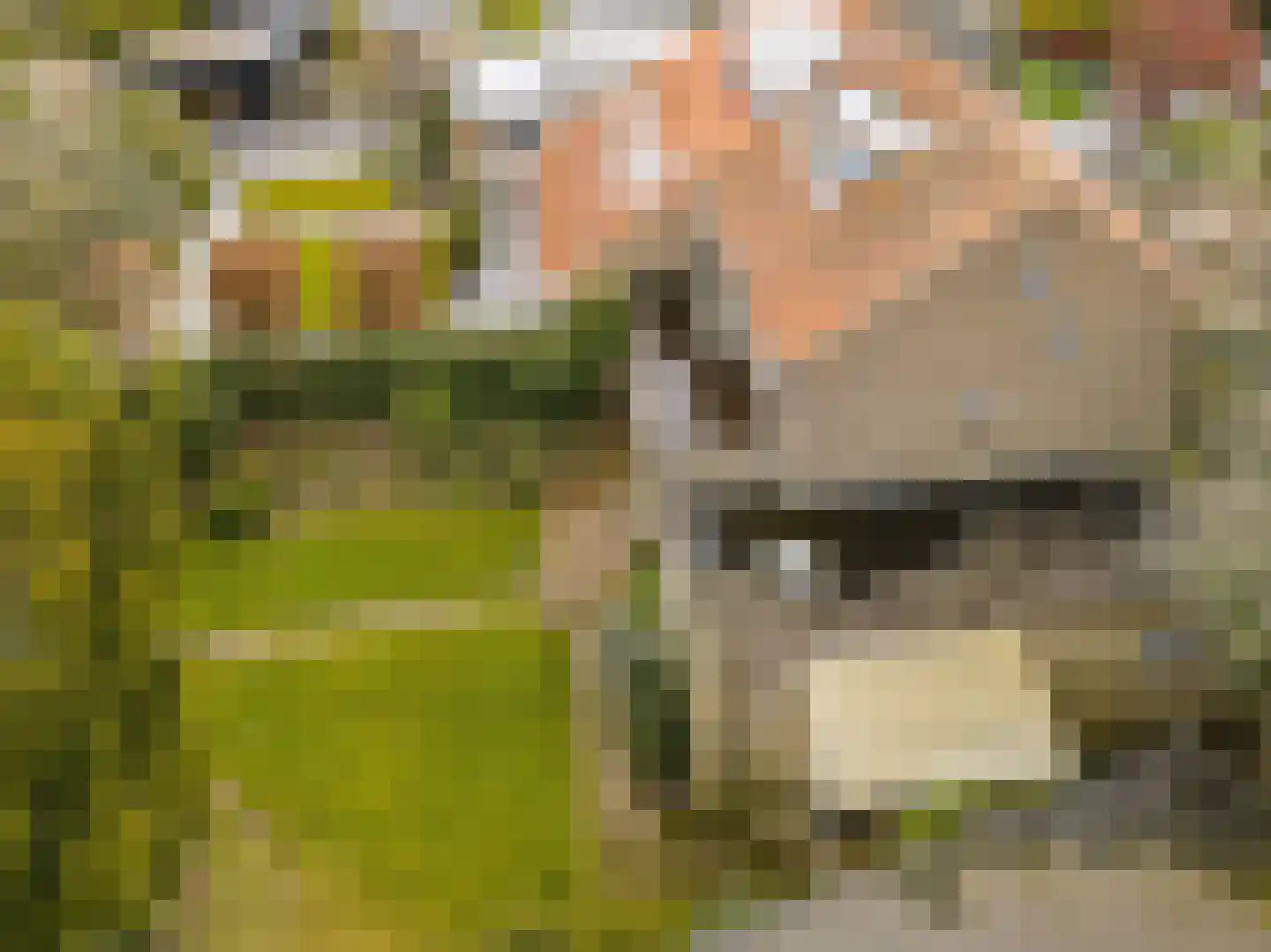 van Heutszpark 16 Vlaardingen thumbnail 35