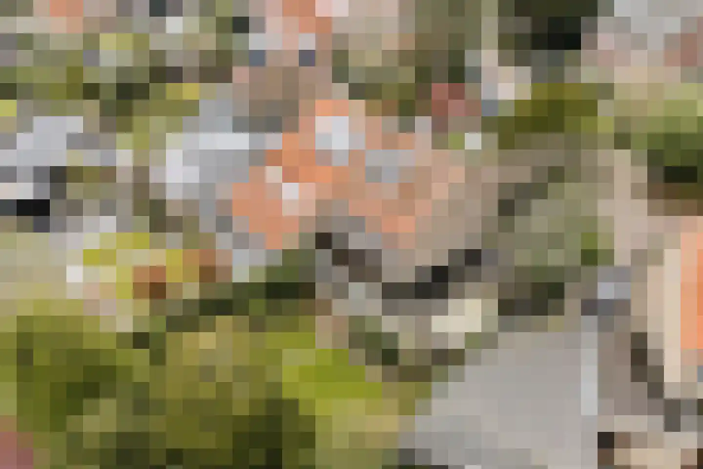 van Heutszpark 16 Vlaardingen thumbnail 36