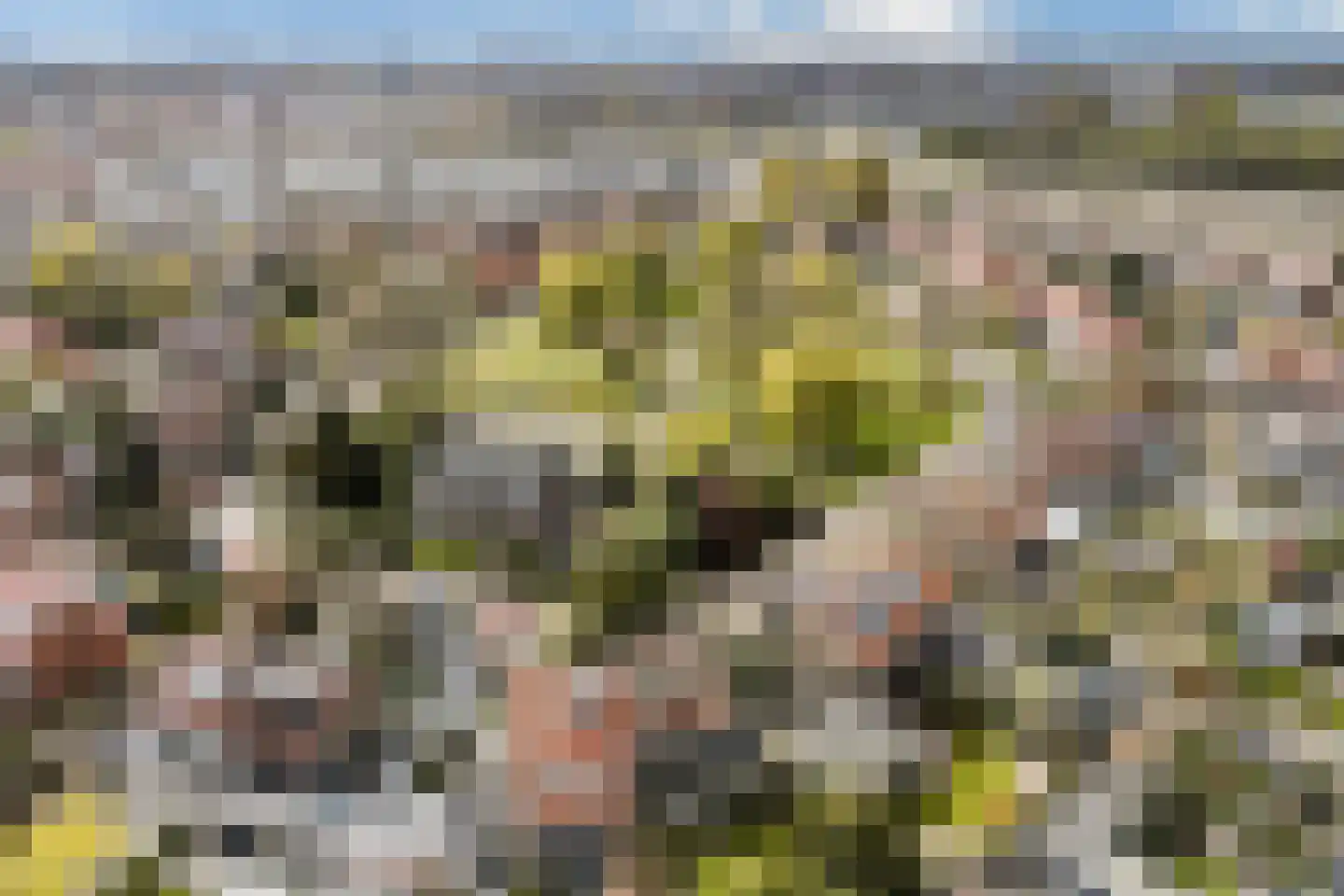 van Heutszpark 16 Vlaardingen thumbnail 37
