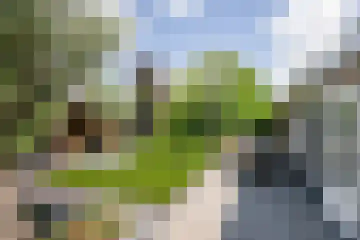 van Heutszpark 18 Vlaardingen thumbnail 23