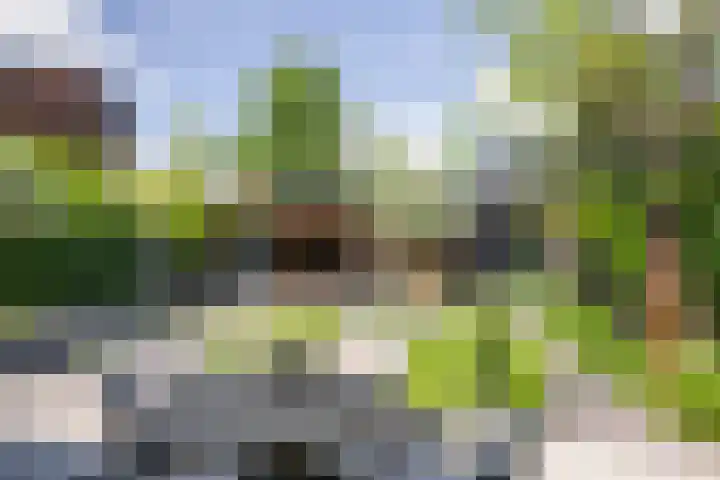 van Heutszpark 18 Vlaardingen thumbnail 24