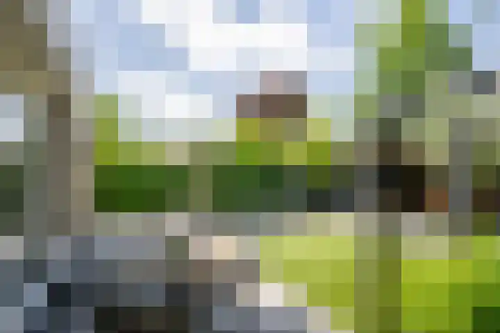 van Heutszpark 18 Vlaardingen thumbnail 25