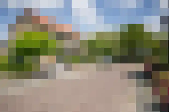 van Heutszpark 18 Vlaardingen thumbnail 48