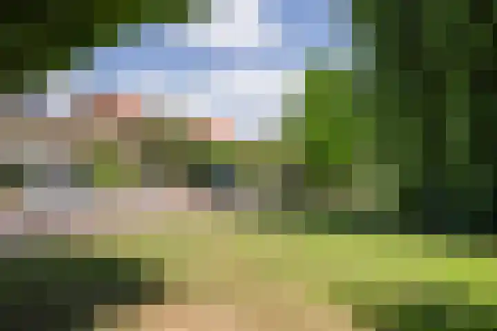 van Heutszpark 18 Vlaardingen thumbnail 49