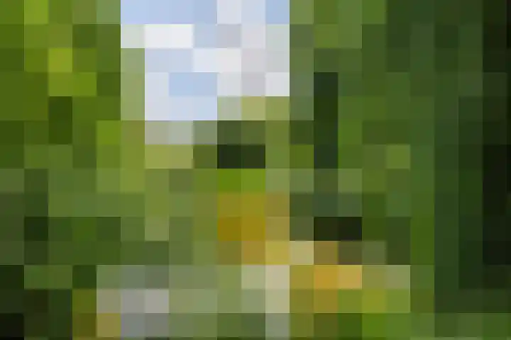 van Heutszpark 18 Vlaardingen thumbnail 50