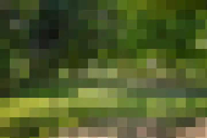 van Heutszpark 18 Vlaardingen thumbnail 51