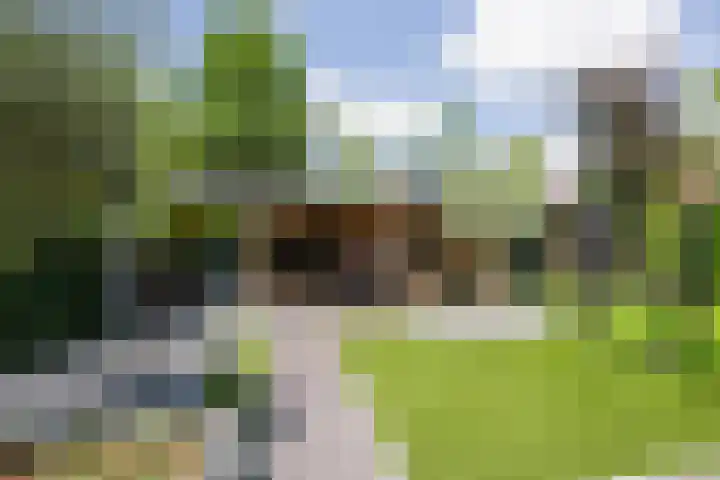 van Heutszpark 18 Vlaardingen thumbnail 6