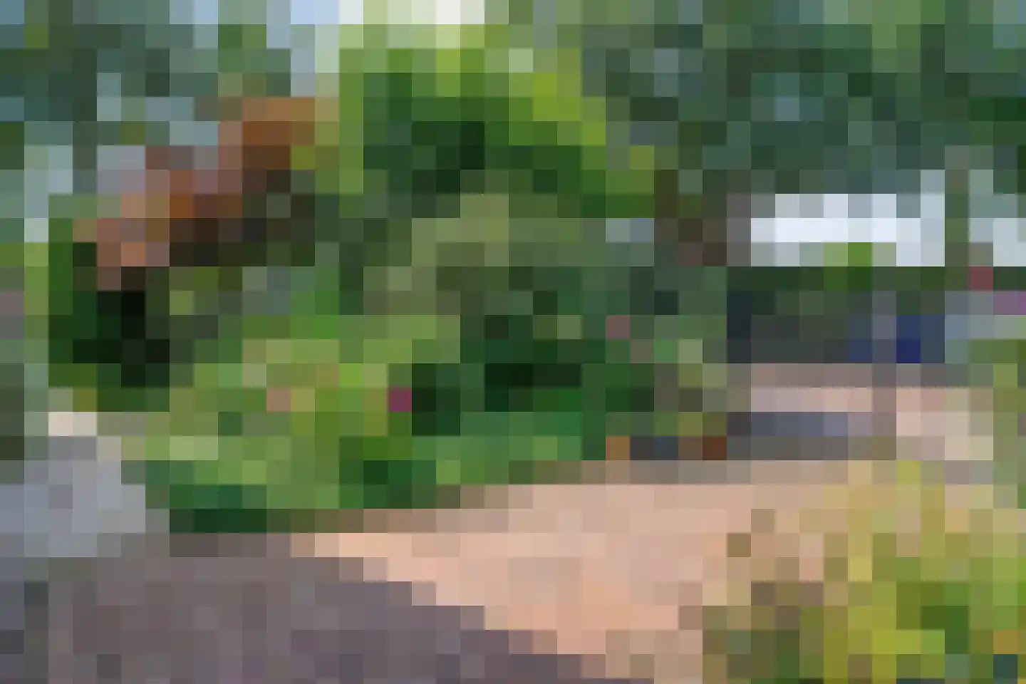van Heutszpark 3 Coevorden thumbnail 10
