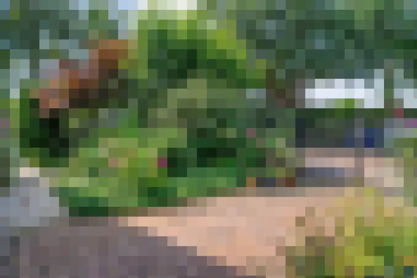 van Heutszpark 3 Coevorden thumbnail 10
