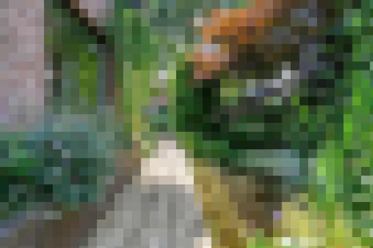 van Heutszpark 3 Coevorden thumbnail 34