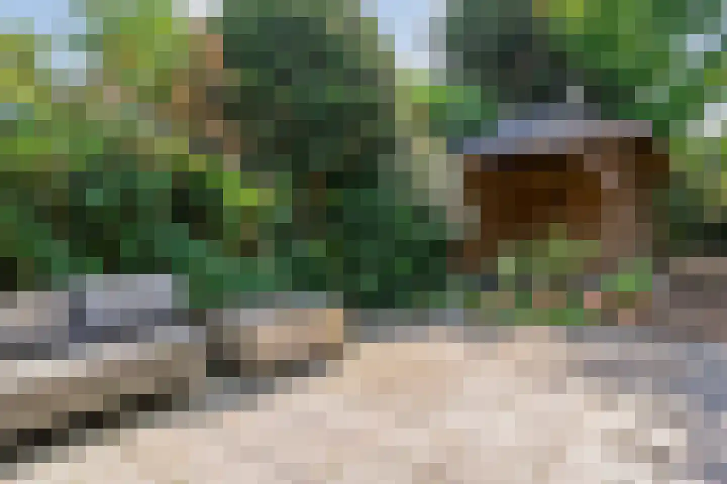 van Heutszpark 3 Coevorden thumbnail 37