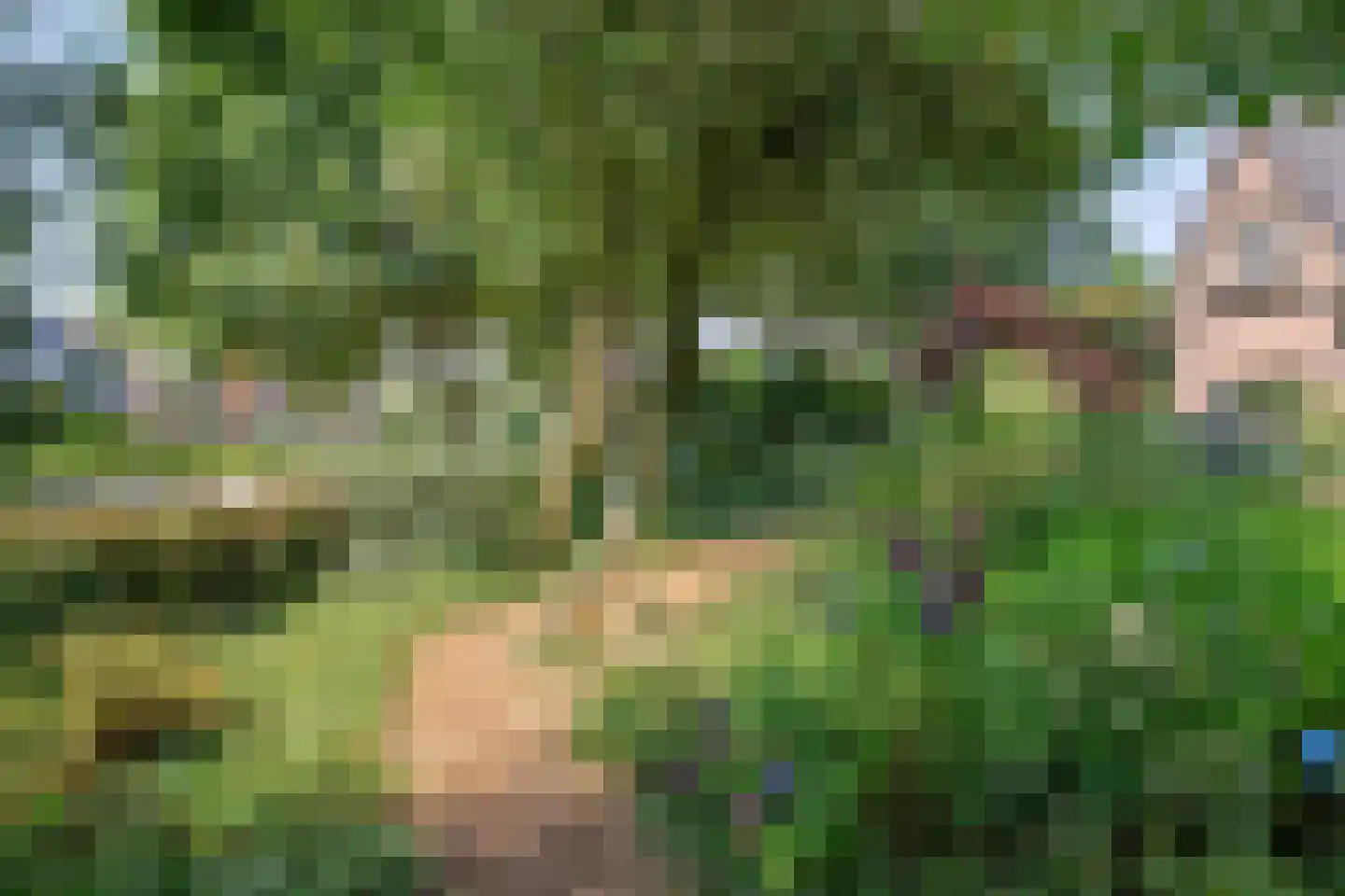 van Heutszpark 3 Coevorden thumbnail 41
