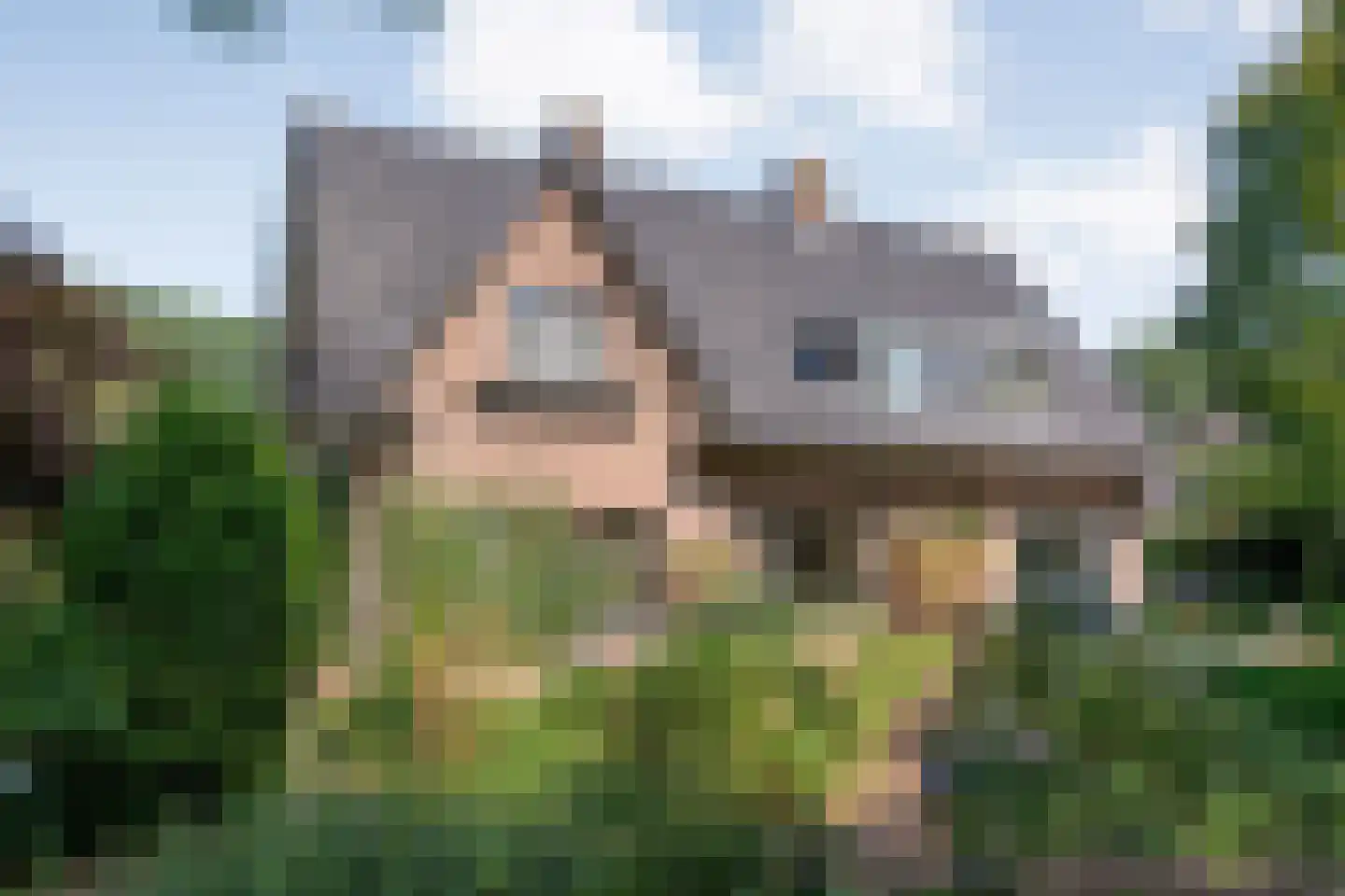 van Heutszpark 3 Coevorden thumbnail 42