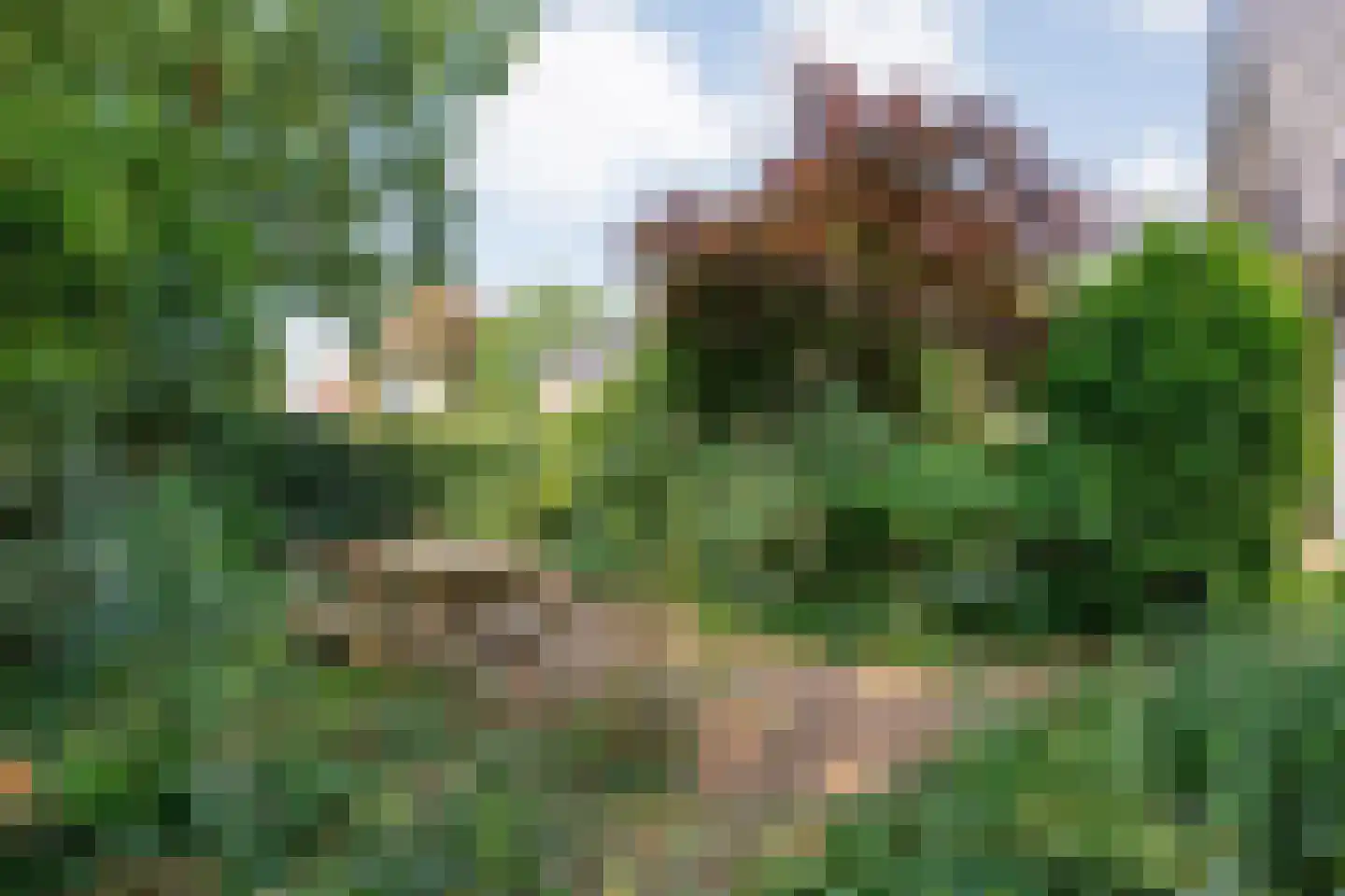 van Heutszpark 3 Coevorden thumbnail 43