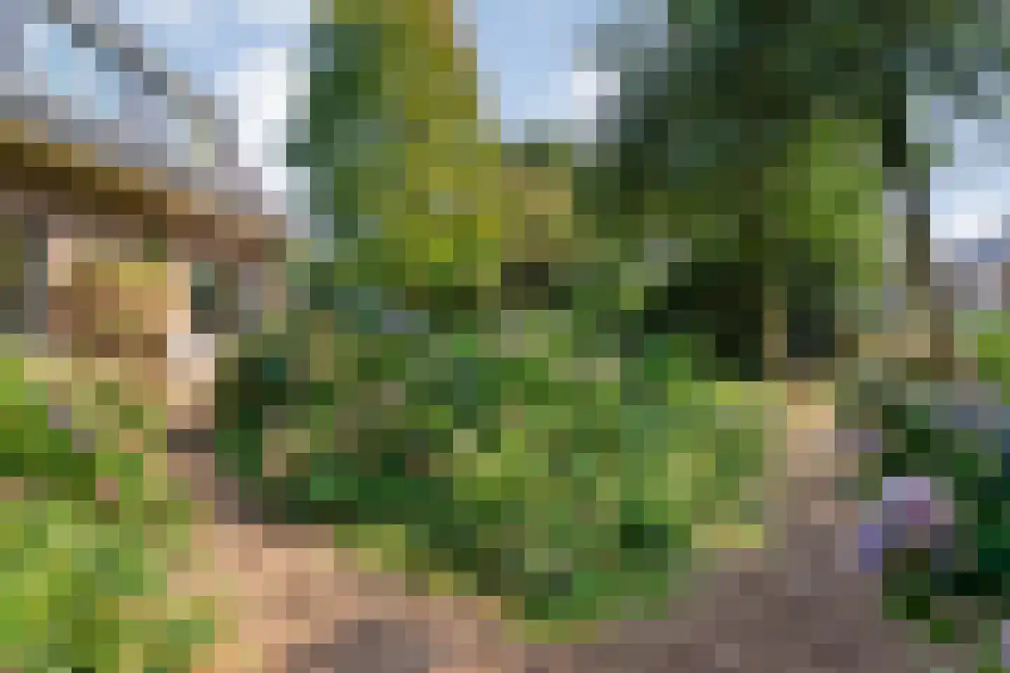 van Heutszpark 3 Coevorden thumbnail 44