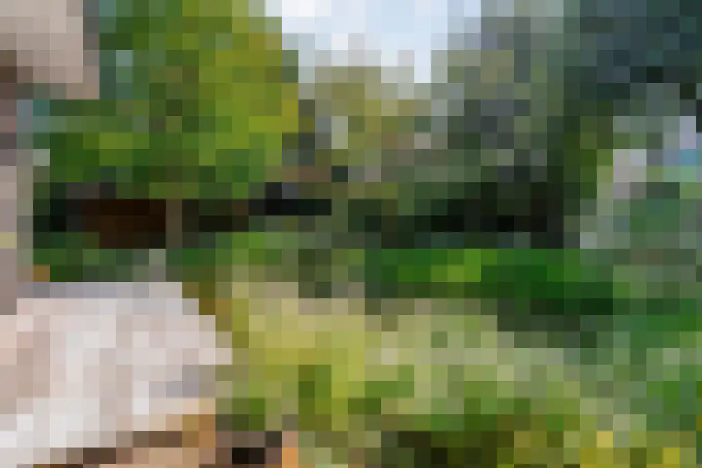 van Heutszpark 3 Coevorden thumbnail 45