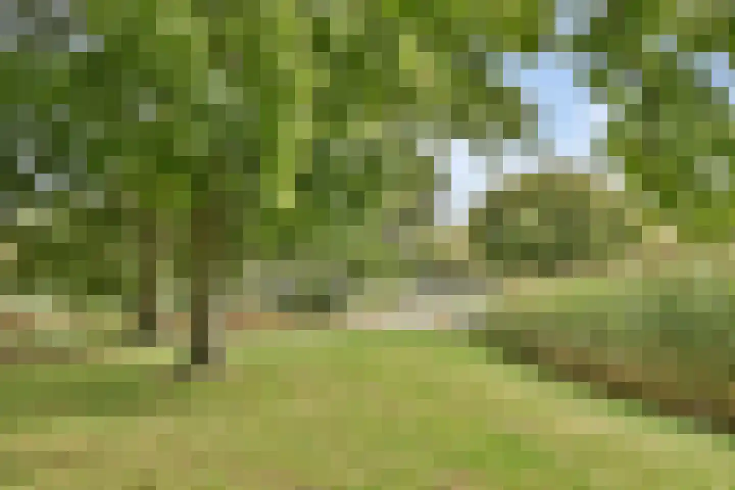 van Heutszpark 31 Vlaardingen thumbnail 37