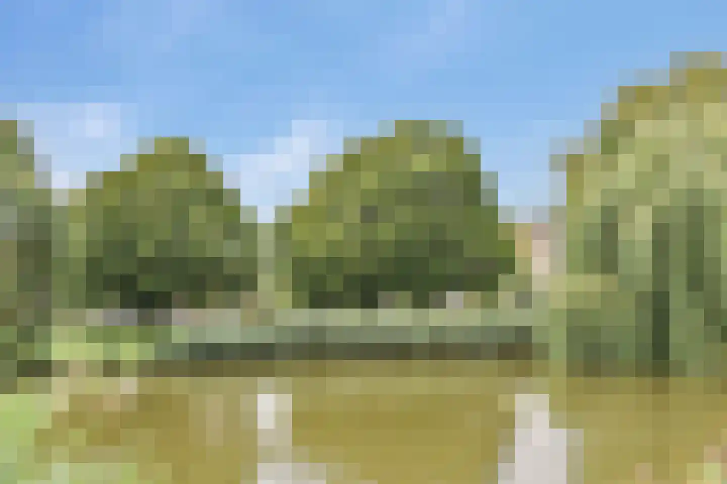 van Heutszpark 31 Vlaardingen thumbnail 38