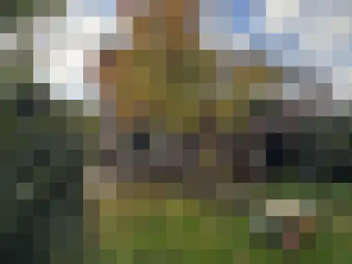 van Heutszsingel 29 Coevorden thumbnail 10