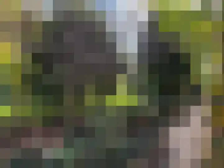 van Heutszsingel 29 Coevorden thumbnail 16