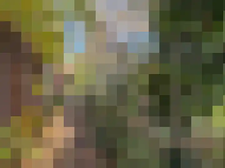 van Heutszsingel 29 Coevorden thumbnail 7