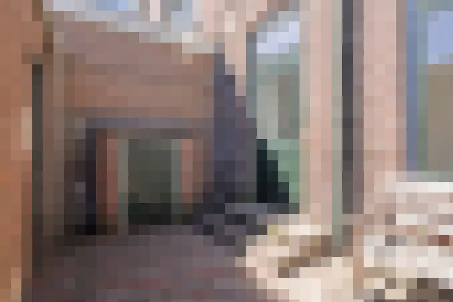 van Heutszsingel 80 Coevorden thumbnail 27