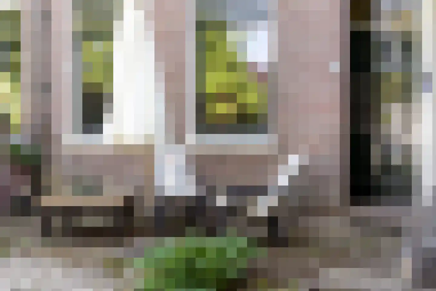 van Heutszsingel 80 Coevorden thumbnail 8