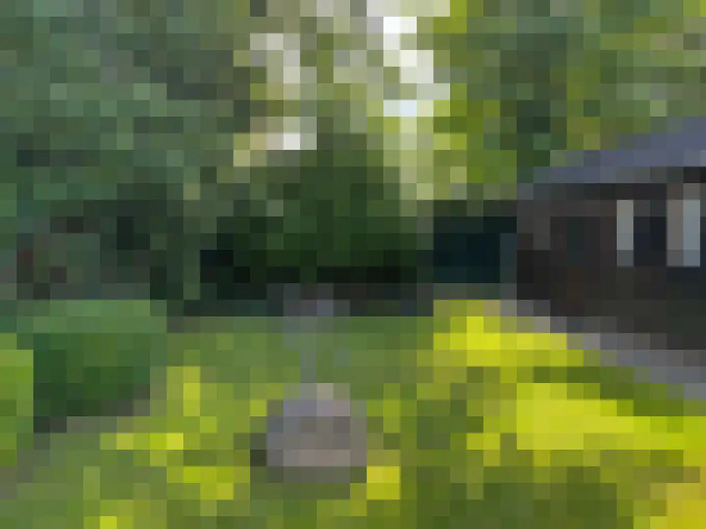 van Heutszsingel 96 Coevorden thumbnail 15