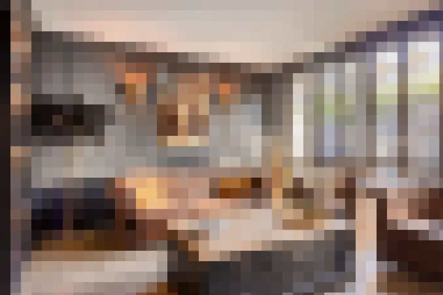 van Heutszsingel 98 Coevorden thumbnail 13