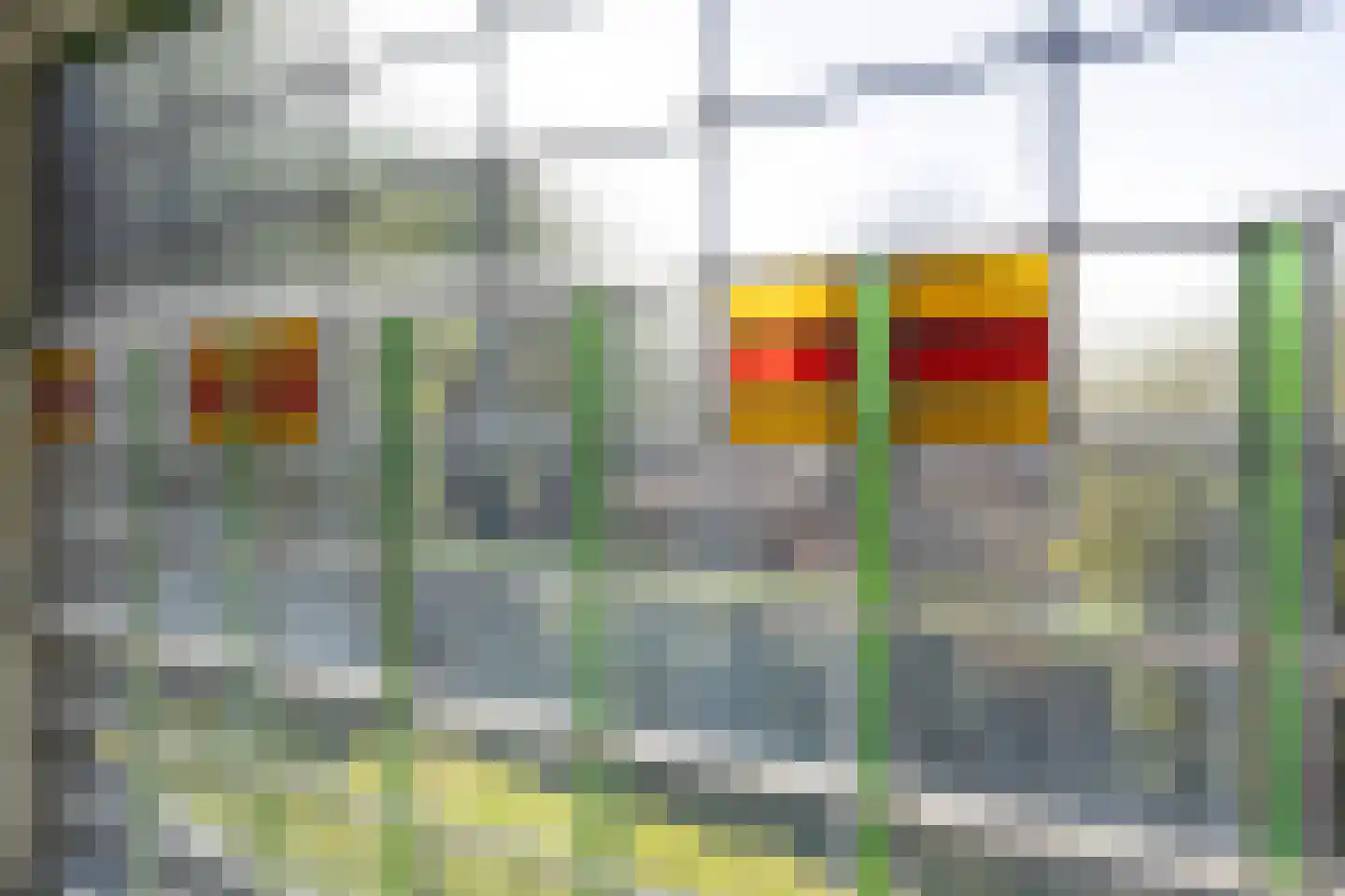 van Heutszsingel 98 Coevorden thumbnail 33